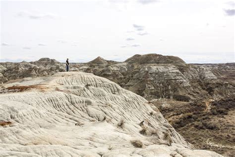 The Ultimate Dinosaur Provincial Park Travel Guide Taylor On A Trip