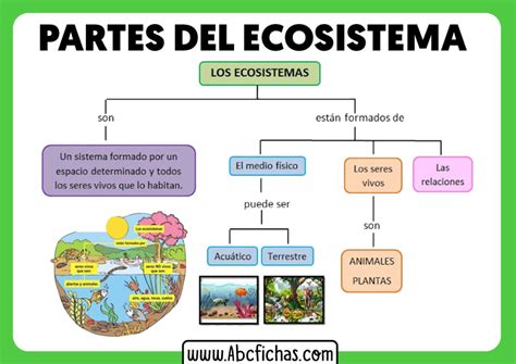 Elementos De Un Ecosistema Abc Fichas
