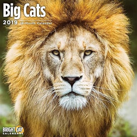 2020 Big Cats Wall Calendars By Bright Day Calendars 16