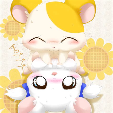 Rule 34 Bijou Blue Eyes Blush Closed Eyes Cum Female Feral Flower Fur Hamster Hamtaro Hamtaro