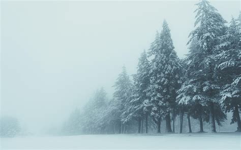 Fog In Winter Wallpapers Wallpaper Cave