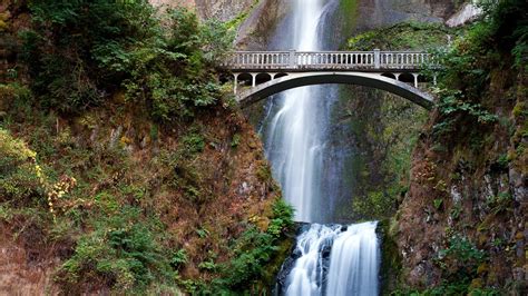 Wallpaper Forest Waterfall Bridge Multnomah Falls Autumn Water