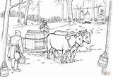 Coloring Maple Syrup Sled Oxen Pulling Barrel Drawing Printable Template sketch template