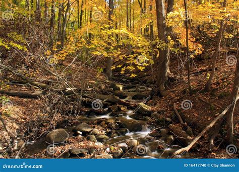 Creek In The Autumn Forest Stock Photo Image Of Segment 16417740