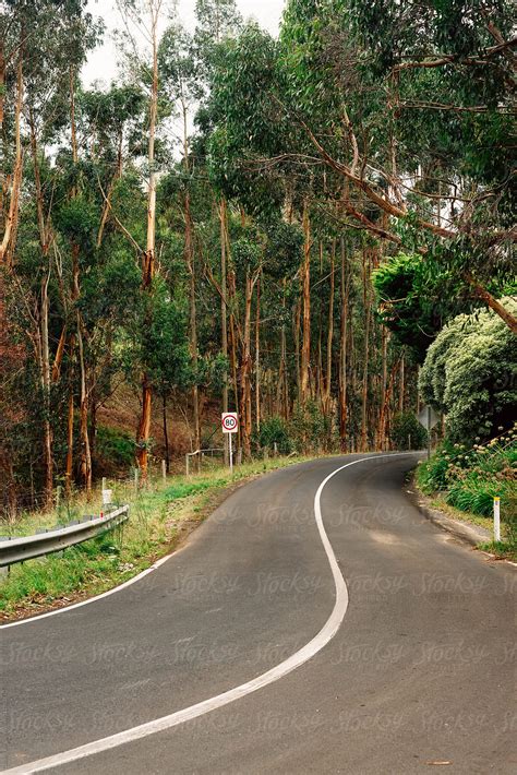 A Curve In A Road In The Adelaide Hills Del Colaborador De Stocksy