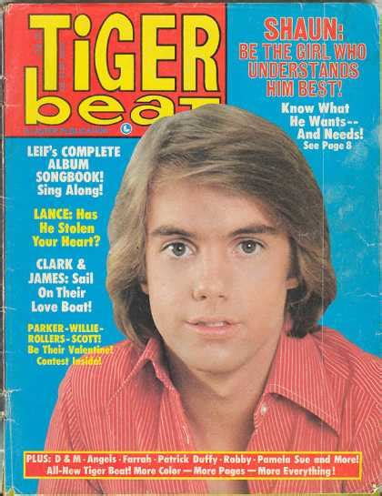Tiger Beat Covers