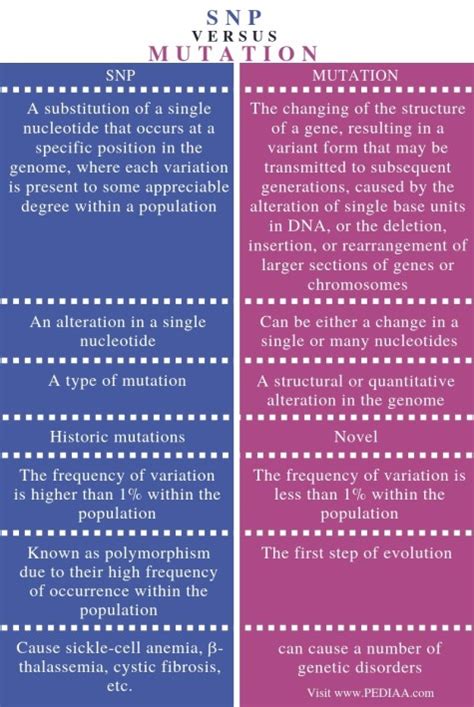 What Is The Difference Between Snp And Mutation Pediaacom