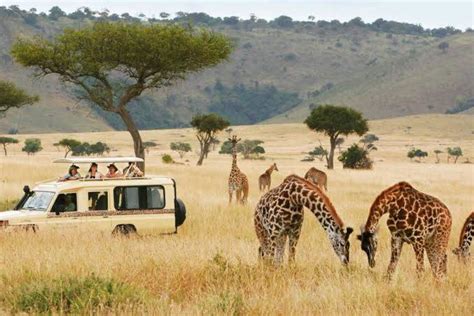 List Of Problems Facing Tourism In Kenya Bizhack Kenya