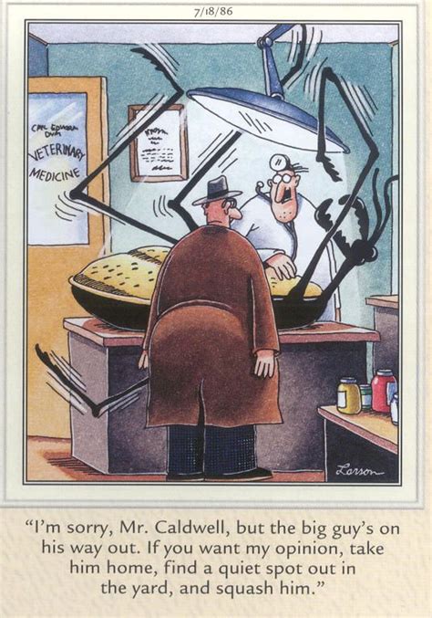 341 Best Images About Far Side Comic On Pinterest Gary Larson