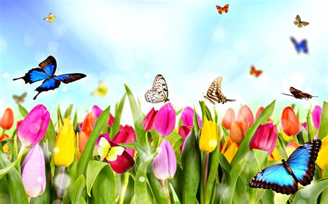 Dream Spring 2012 Spring Time Wallpapers Hd Wallpapers