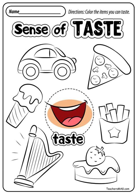 Five Senses Worksheets For Preschool