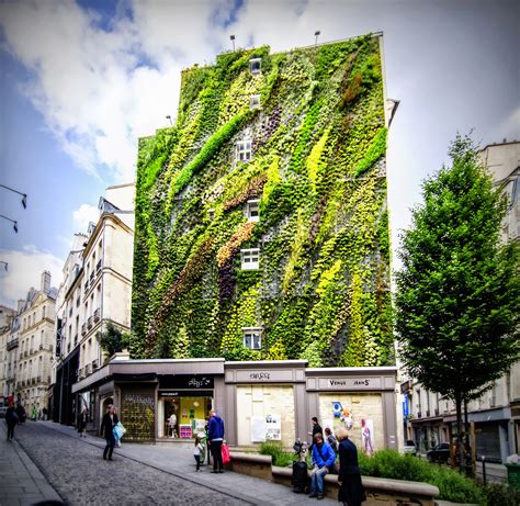 Parisdailyphoto Green Wall