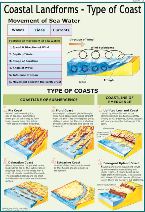 Coastal Landforms Types Of Coast Chart Dimensions X Centimeter Cm At Best Price In