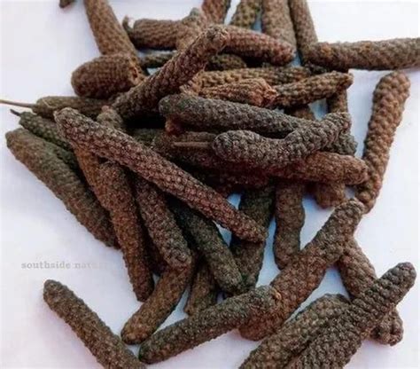 Organic Long Pepper At Rs 550kg Organic Herbs In Mumbai Id