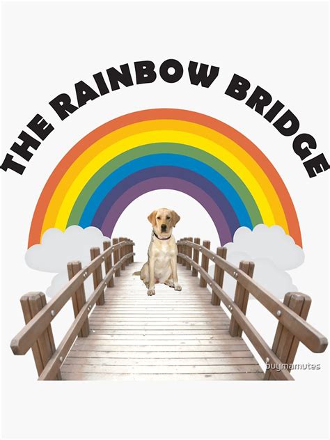 The Rainbow Bridge Yellow Labrador Retriever Sticker By Buymamutes