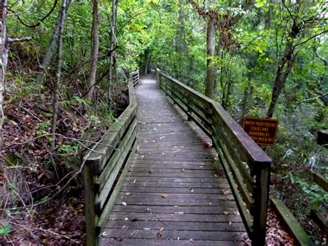 Flowers park • jackson, ms. Extreme Hiking-Hiking LeFleur's Bluff State Park Jackson ...