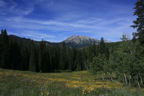 Hd Wallpaper Mountains Colorado Crested Butte Plant Tree Beauty