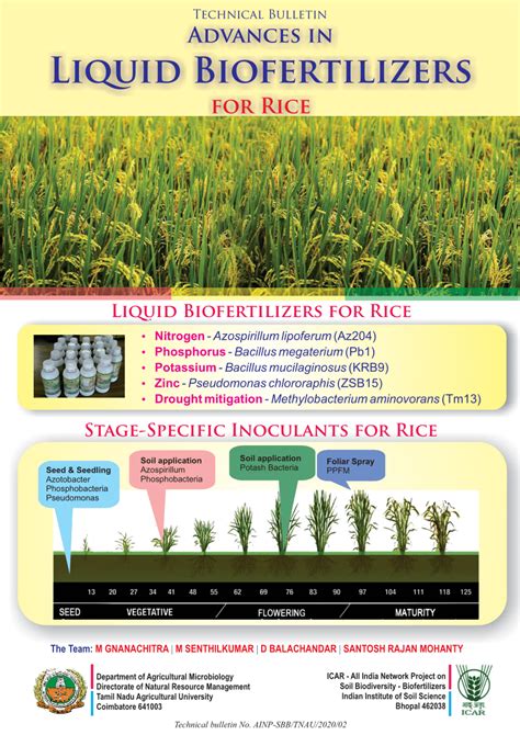 PDF Advances In Liquid Biofertilizers For Rice Liquid Biofertilizers