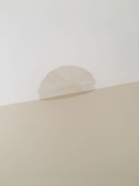 Wet Patch On Ceiling Under Bathroom Shelly Lighting