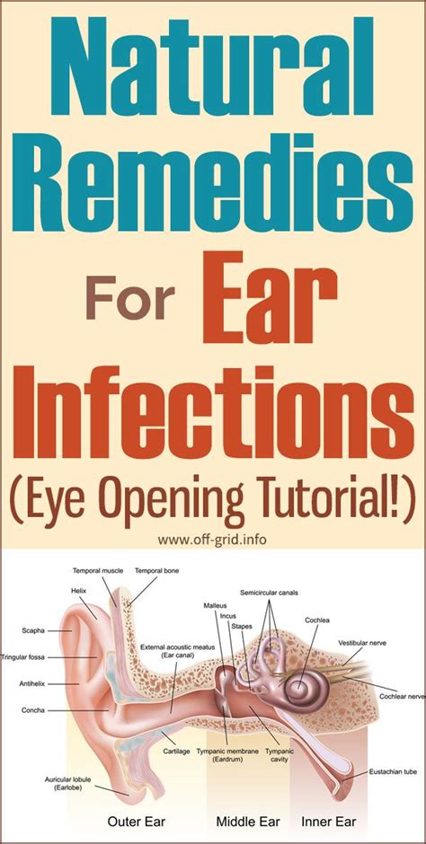 Natural Remedies For Ear Infections Eye Opening Tutorial Ear