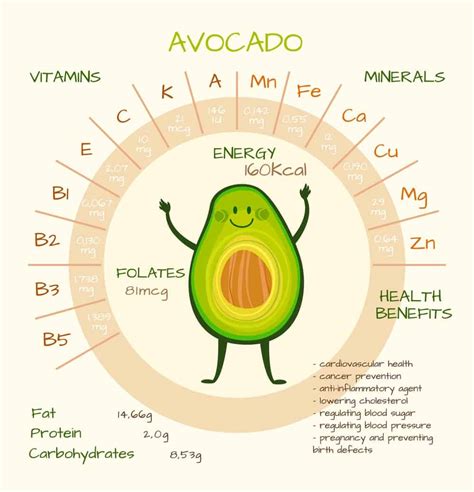 17 Different Types Of Avocados