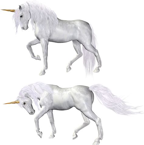 Unicorn Png Image Purepng Free Transparent Cc0 Png Image Library