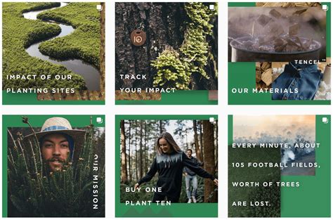 How Tentree Took Over Instagram Behind A Record Breaking Social Media