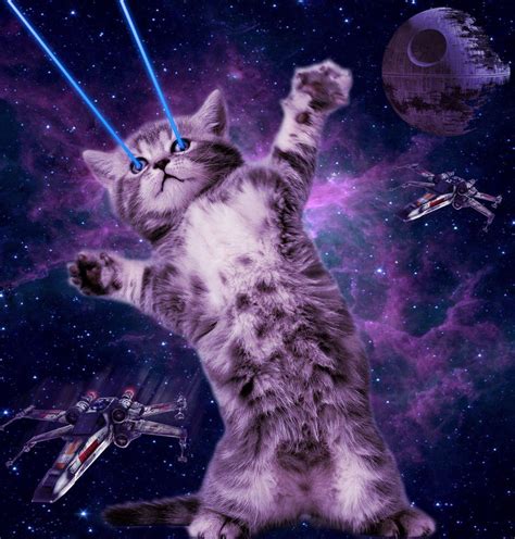 Space Cat With Laser Lights