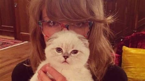 Taylor Swifts Cat Worth 97 Million Is One Of Worlds Richest Pets