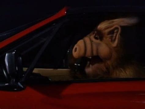 Alf Baby You Can Drive My Car Tv Episode 1986 Imdb