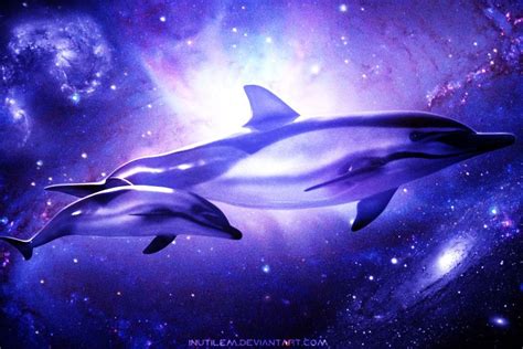 Cute Dolphin Wallpaper ·① Wallpapertag