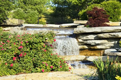 The Various Types Of Tiered Waterfalls For Your Garden Honeysuckle