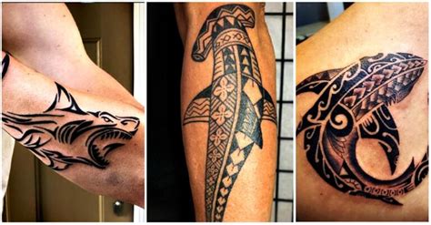 Updated 40 Tribal Shark Tattoos