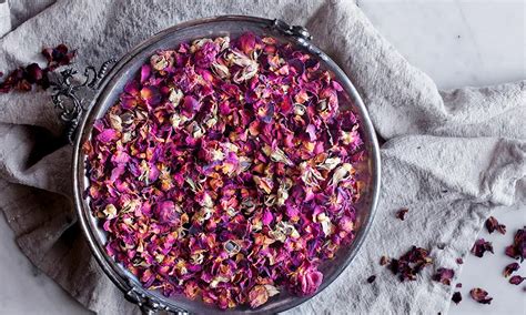 7 Health Benefits Of Dried Rose Petals Drying All Foods