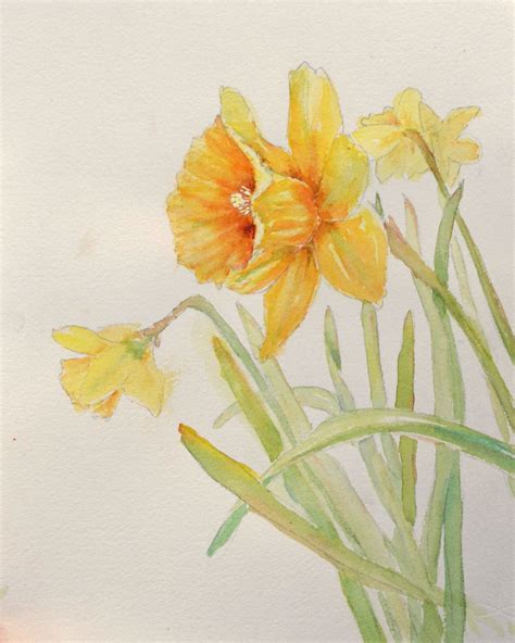 Free Photo Daffodils Painting Art Blooming Daffodil Free