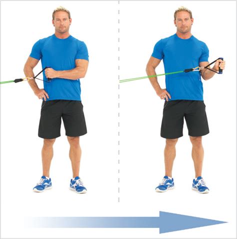 Db Rotator Cuff Exercises Full Body Workout Blog
