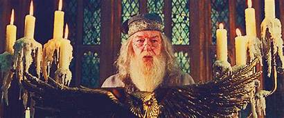 Dumbledore Harry Potter Albus Grindelwald Fire Goblet