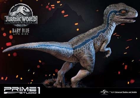 Blue is a jurassic world figure first released in 2015. Jurassic World Fallen Kingdom - Baby Blue - Prime 1 Studio ...