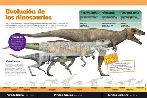 Infografía Evolución De Los Dinosaurios Infographics90