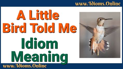 English Idioms A Little Bird Told Me Meaning Youtube