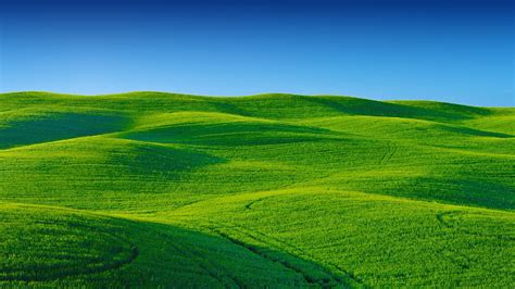 Rolling Green Hills And Blue Sky Hd Wallpaper Backiee