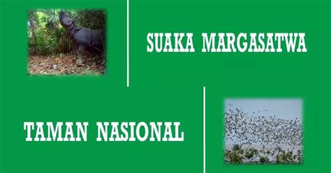 Perbedaan Suaka Margasatwa Dan Taman Nasional Brankaspedia Blog
