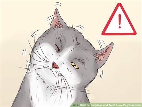 How To Diagnose And Treat Aural Ear Polyps In Cats Wikihow