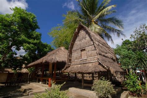 Premium Photo Sasak Tribe Traditional House And Granary In Sade Village Lombok