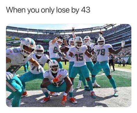 The 25 Funniest Miami Dolphins Memes Ranked