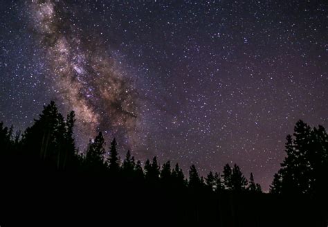 Kostenlose Foto Landschaft Baum Natur Himmel Nacht Star