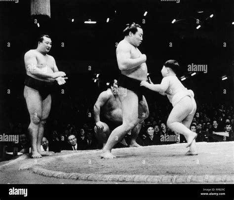 Sumo Wrestler Black And White Stock Photos And Images Alamy