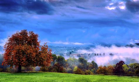 Foggy Autumn Morning In Germany Photograph By Mountain Dreams Fine