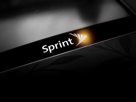Sprint Logo Flickr Photo Sharing