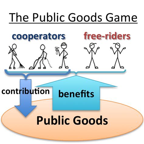 Public Goods Short Answer